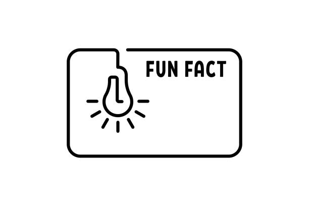 frame, lamp and text fun fact frame, lamp and text fun fact. concept of did you know or interesting knowledge. web banner with idea box, quote for new info. simple isolated black sign on white background fact bubble stock illustrations