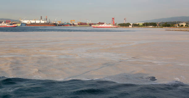 This photograph taken on June 12, 2021 in Turkey's Marmara Sea (İzmit Körfezi) shows marine mucilage.\nSea snot, sea saliva or marine mucilage is a collection of mucus-like organic matter found in the sea. The creamy, gelatinous substance is generally not harmful, but can attract viruses and bacteria, including E. coli, and it can become a blanket that suffocates the marine life below.\nSea snot spread in the Sea of Marmara, due to pollution from wastewater dumped into seawater, which led to the proliferation of phytoplankton, and posed a great threat to the marine biome.