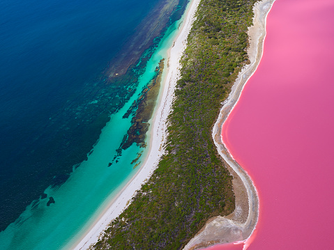 Lake Hiller abstract image of Pink Lake