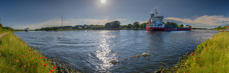 Panoramic view of Kiel Kanal in summer with cargo ships, swans and blooming poppies.