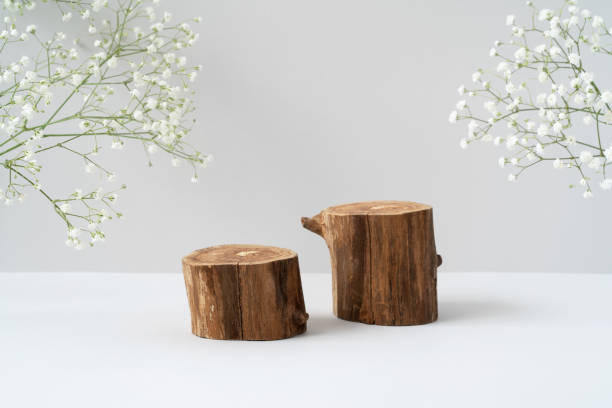 dois pódios de madeira redondos vazios para apresentação do produto, flores de cigano branco em fundo cinza. fundo de materiais naturais para maquetes de publicidade cosmética - wood product - fotografias e filmes do acervo