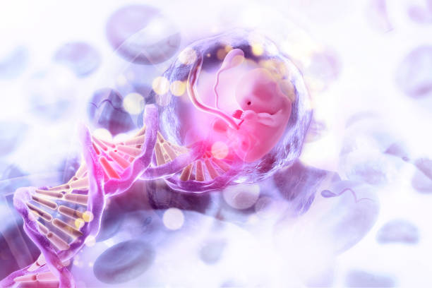 fetus with dna on scientific background. 3d illustration - placenta baby childbirth newborn imagens e fotografias de stock