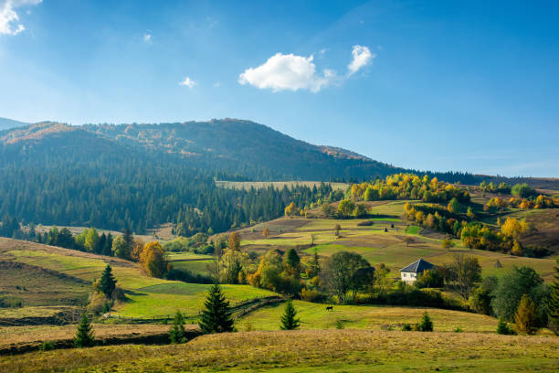 bergige ländliche landschaft im herbst - carpathian mountain range stock-fotos und bilder