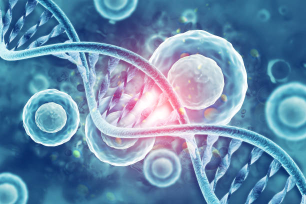 istock DNA cell on scientific background. 3d illustration 1324670033