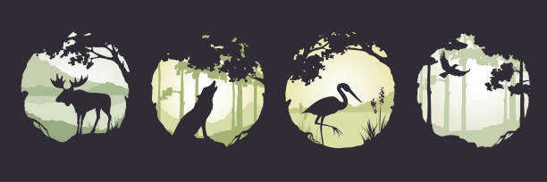 Fairy forest with wild animals. Landscapes with elk, heron and wolf. Nature in a frame of trees. Three vector illustrations. tree borders stock illustrations