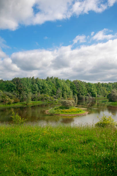 istock Lake with small island in the middle. 1324671679