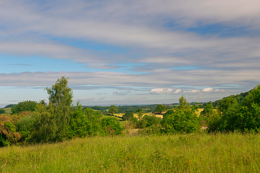 summer landscape in franconia germany