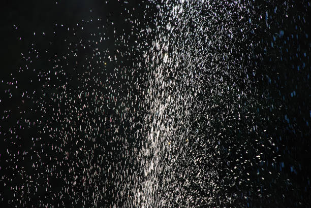 Man disguised aas devil holding a sparkling pole at a Correfoc, a street festival typical of Catalonia (Spain), wherepeople disguised as devils run with sparkling fireworks among the people.