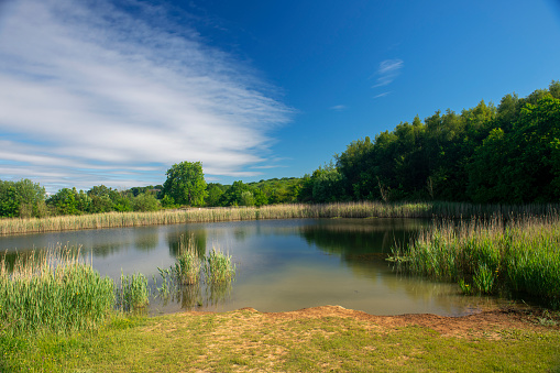 Tranquil scene of a small lake situated in natural parkland in England.