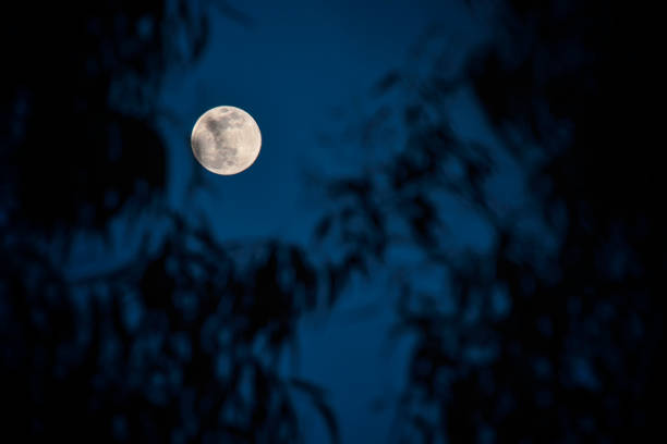 istock brighter, fuller, moon in the sky at night 1324673493