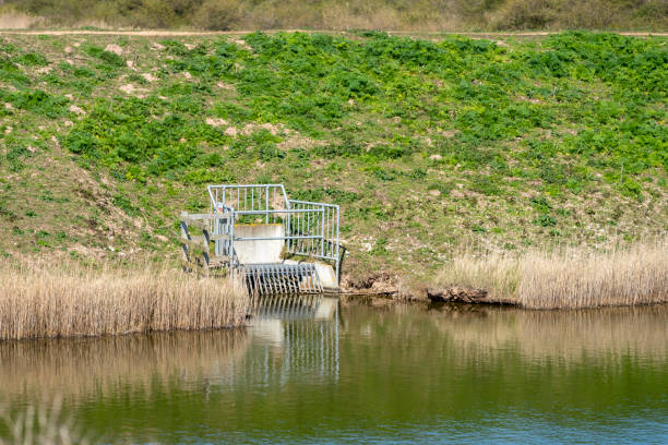 istock The lagoon at Snettisham, Norfolk. 1324673763
