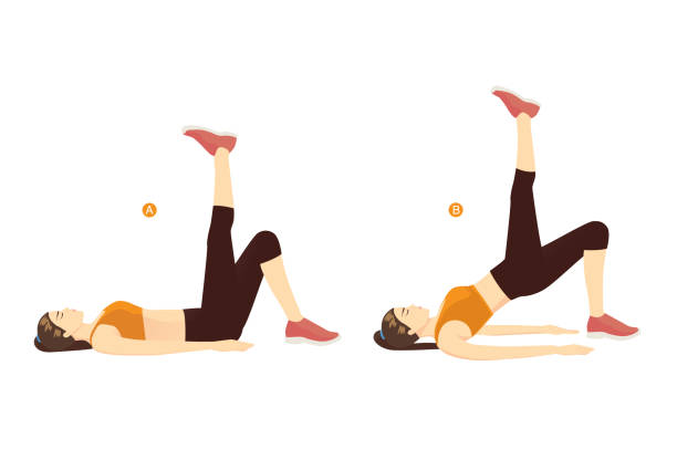 Woman doing single leg Hip Thrust Exercise in 2 steps for six-pack and strong back. Woman doing single leg Hip Thrust Exercise in 2 steps for six-pack and strong back. Illustration about workout to target at abdominal, hip, and back muscles. lower abdomen stock illustrations