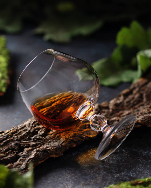 Glass of cognac on a tree bark with oak leaves in the background stock photo