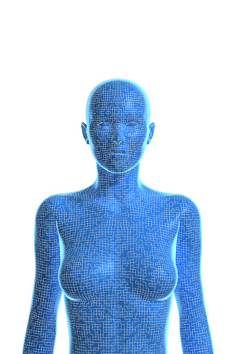 3D wireframe model of woman’s body. Isolated on white background.