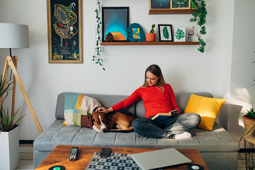 Young woman, resting on the sofa, reading her book, while her loyal and cute hound dog lying beside her and enjoying the cuddle he receive from time to time