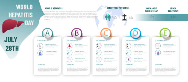 illustrations, cliparts, dessins animés et icônes de infographie sur l’hépatite - hepatitis virus