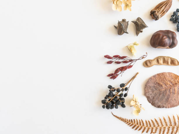 Flat lay autumn border of various autumn forest materials