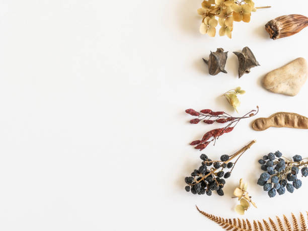 istock Flat lay autumn border of various autumn forest materials 1324682759