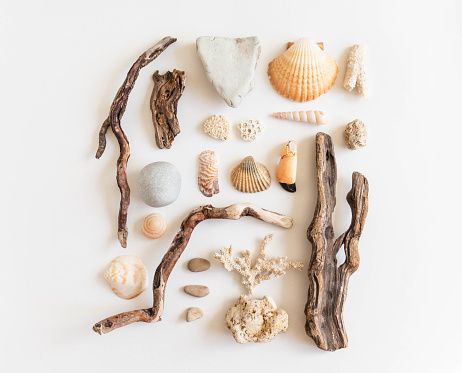 Composition of various wooden branches, stones, shells and other materials washed ashore by the sea on a white background