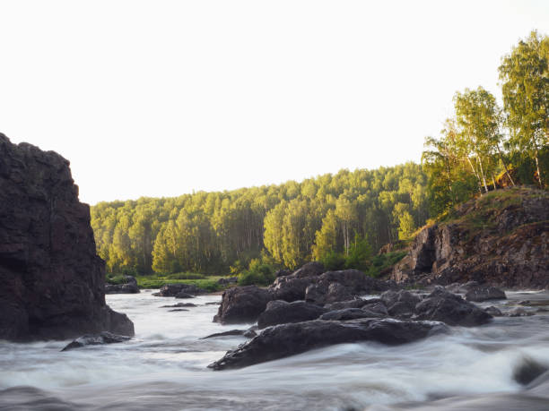 un río tormentoso entre rocas y bosques, un hermoso paisaje. río de montaña con rápidos. fondo natural o pantalla de presentación - splash mountain fotografías e imágenes de stock