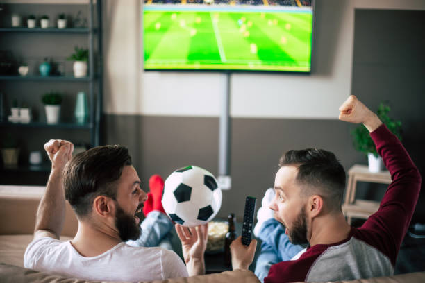 Back view photo of two best friends and fans of football watching some sport match on the TV and drinking beers and eating snacks while cheering for the team on the couch stock photo