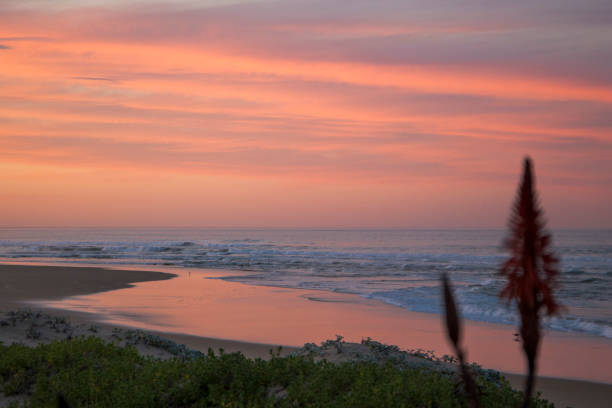 istock A coastal landscape scene with a beautiful pink sunrise 1324691346