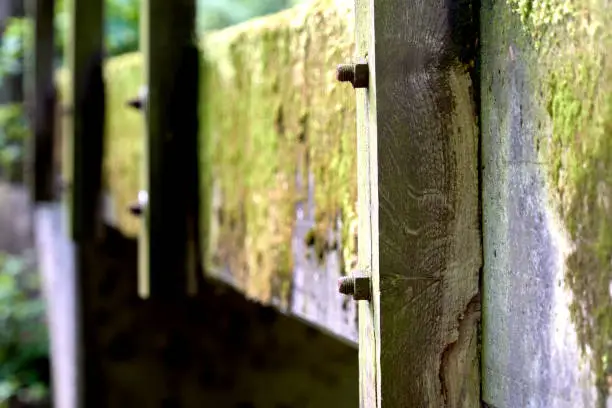Fastening screws on the supporting beams of a wooden bridge, abstract image with limited partial sharpness