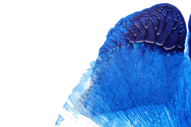 istock blue abstract acrylic painting color texture on white paper background by using rorschach inkblot method 1324694535