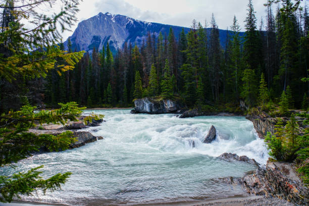 istock River landscape in Canadian Rockies 1324694573
