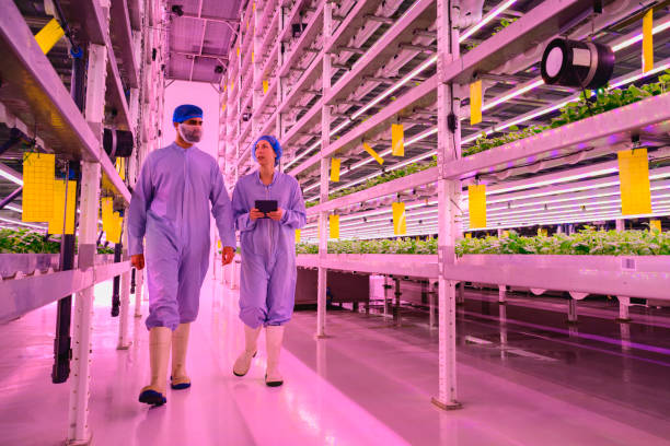 istock Male and female technicians walking through vertical farm 1324696408