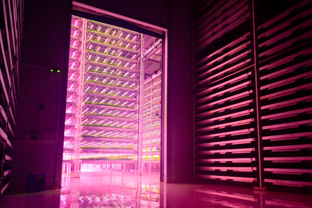 istock Colorful interior of vertical hydroponic environment 1324696422