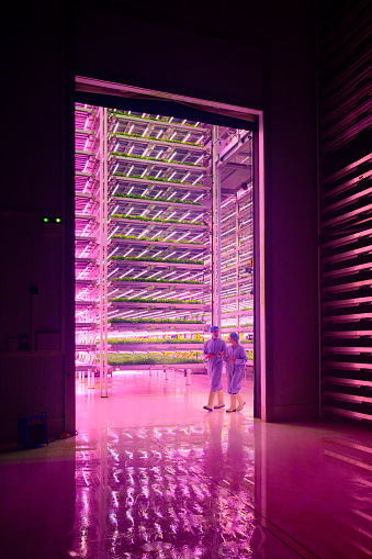 High contrast view from darkness to brightly lit environment with floor to ceiling racks of herbs developing under optimal LED spectra and CO2-infused air.