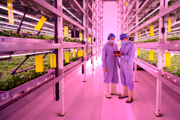 istock Agricultural specialists discussing data in time of COVID-19 1324696438