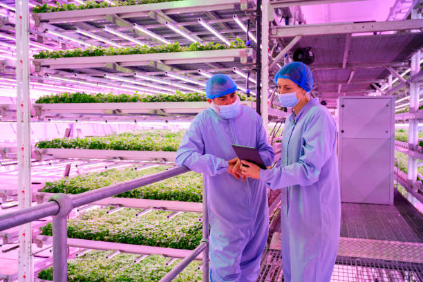 istock Vertical farmers discussing growth data in vertical farm 1324696456