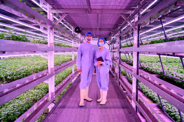 Portrait of vertical farming specialists