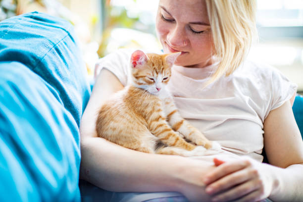 istock Woman working at home with kitten 1324696819