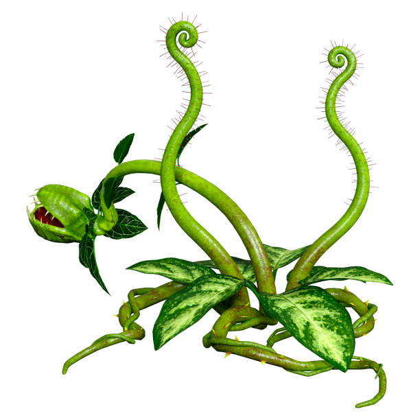 istock 3D illustration carnivorous plant on white 1324697868