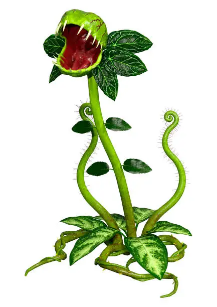 Photo of 3D illustration carnivorous plant on white