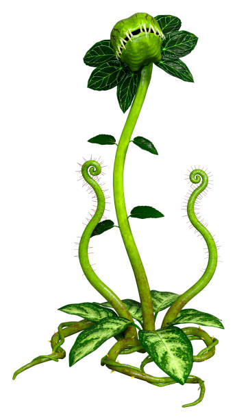 istock 3D illustration carnivorous plant on white 1324697873