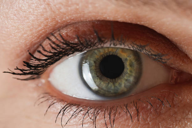 istock Female gray-green eye with painted eyelashes closeup 1324698773