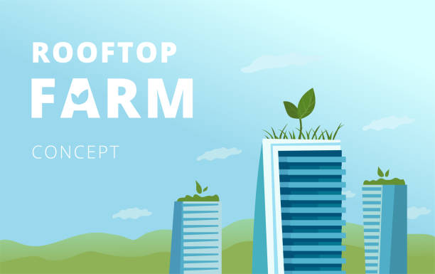 Rooftop farm concept. vector art illustration