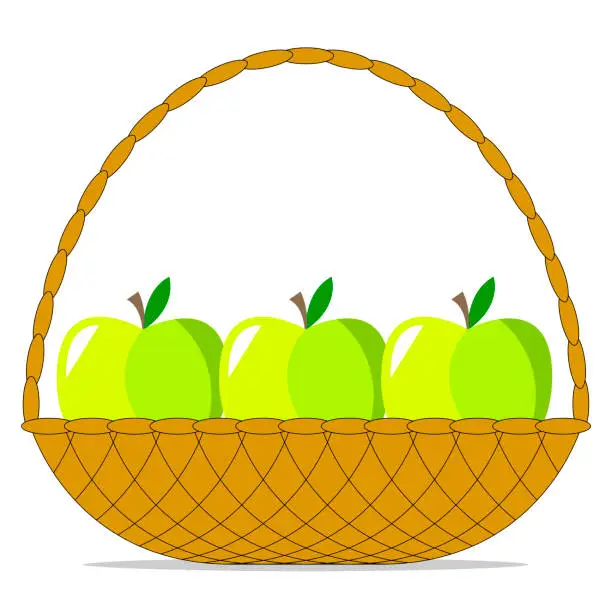 Vector illustration of three ripe green apples lie in a wicker basket