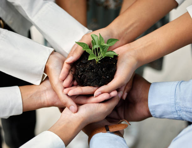 istock High angle shot of a group of unrecognizable businesspeople holing a budding plant while standing in their office 1324702738