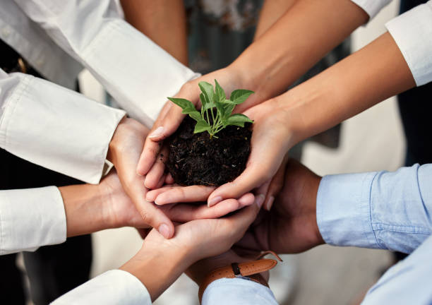 istock High angle shot of a group of unrecognizable businesspeople holing a budding plant while standing in their office 1324702741