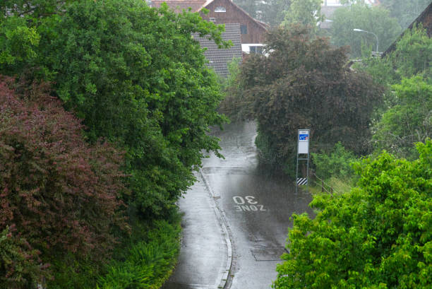 tempestade de verão com chuva forte na cidade de zurique. - switzerland forest storm summer - fotografias e filmes do acervo