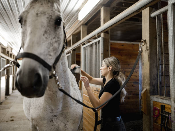 istock Young female trainer prepping her horse 1324706756