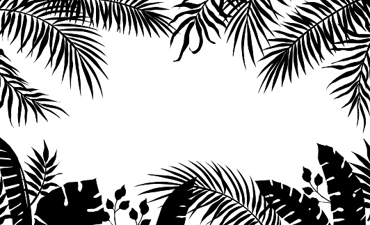 Palm leaves frame. Black silhouette of banana tree foliage. Exotic plant border. Rainforest greenery template. Tropical branches. Decorative contour floral framing with copy space. Vector jungle flora