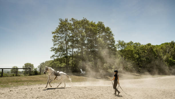 istock Young female trainer exercising her horse 1324709374