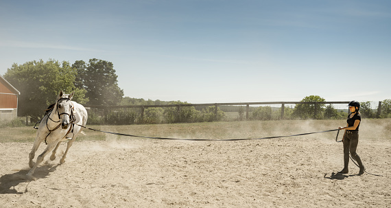 Young female trainer exercising her horse at the outdoor paddock. She is wearing horse riding helmet, pants and t-shirt with her long hair in pony tail. Exterior of rural farm in Ontario, Canada.