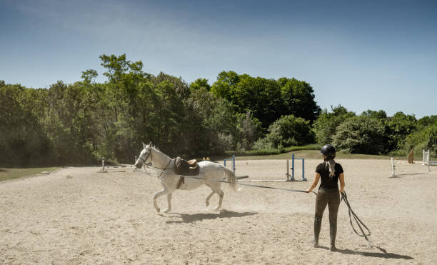 istock Young female trainer exercising her horse 1324710704
